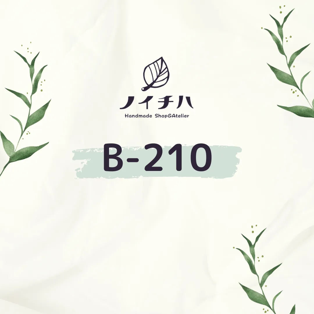 B-210