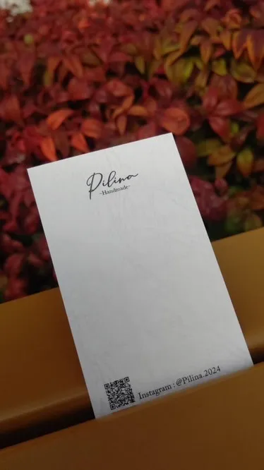 B-403  Pilina