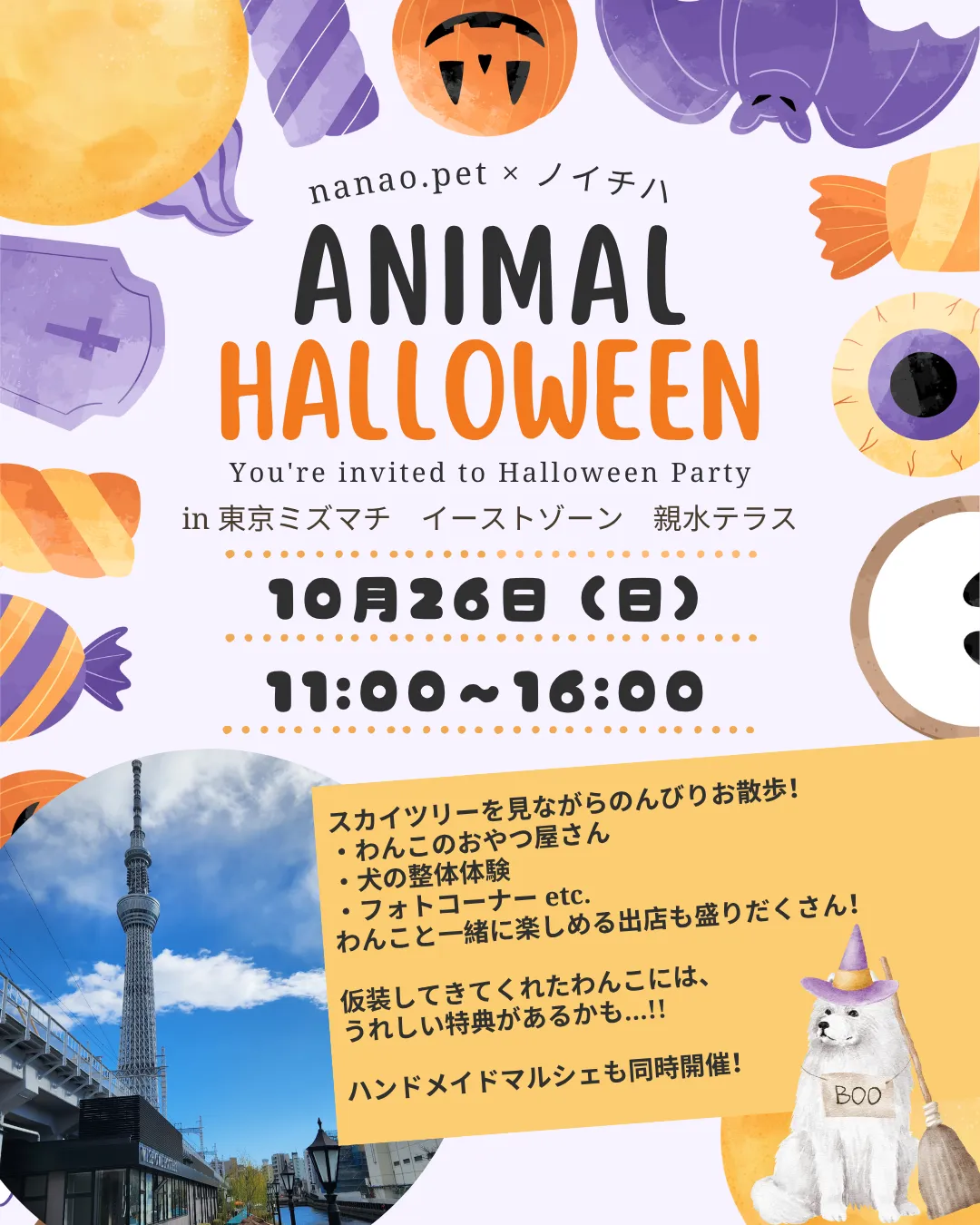 🎃🐶 ANIMAL HALLOWEEN 開催🐱🎃
