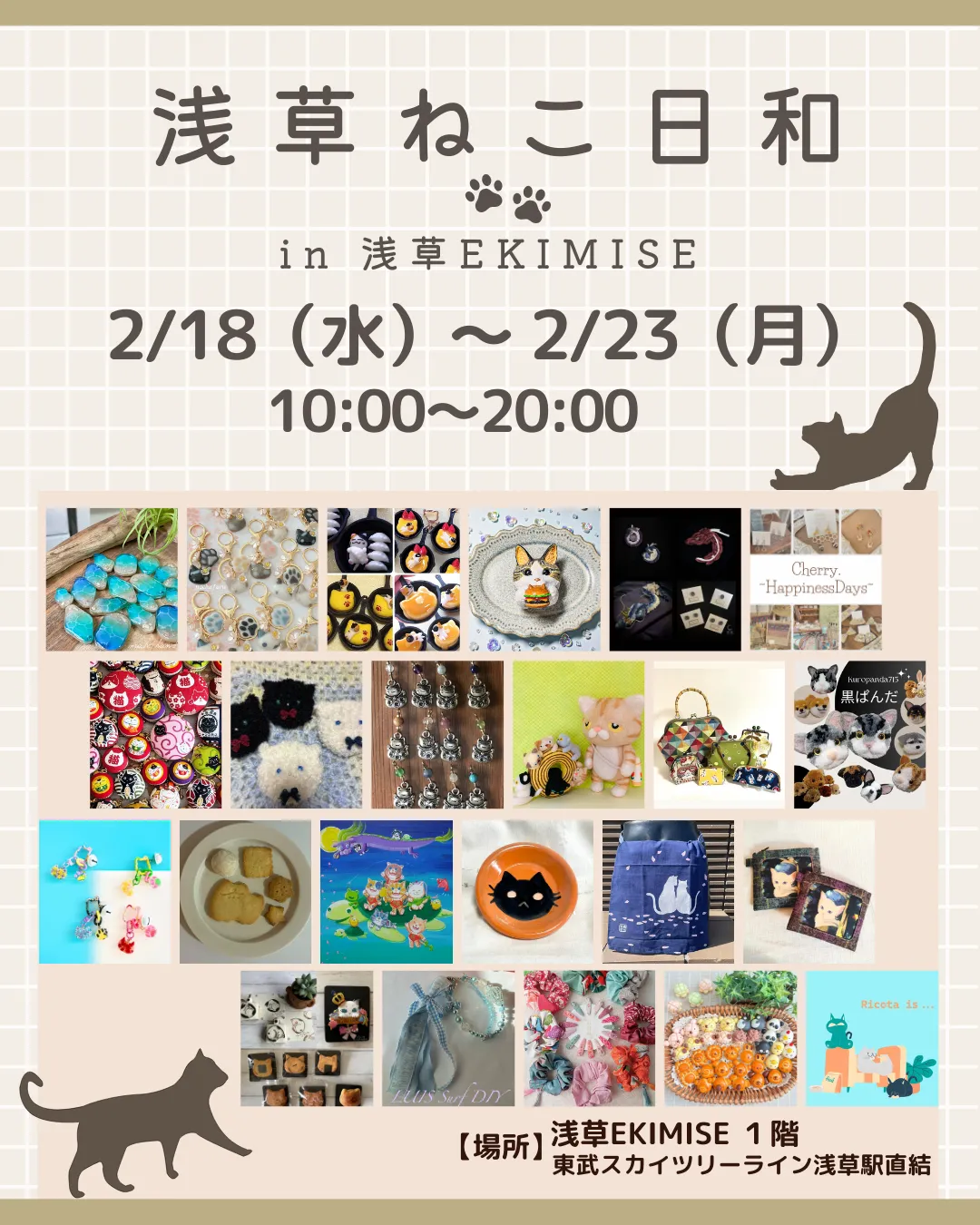 🐾 浅草ねこ日和 in 浅草EKIMISE 🐾⁡