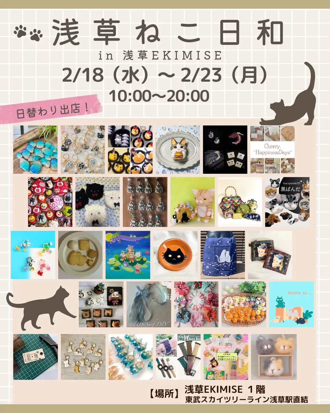 🐾 浅草ねこ日和 in 浅草EKIMISE 🐾⁡⁡